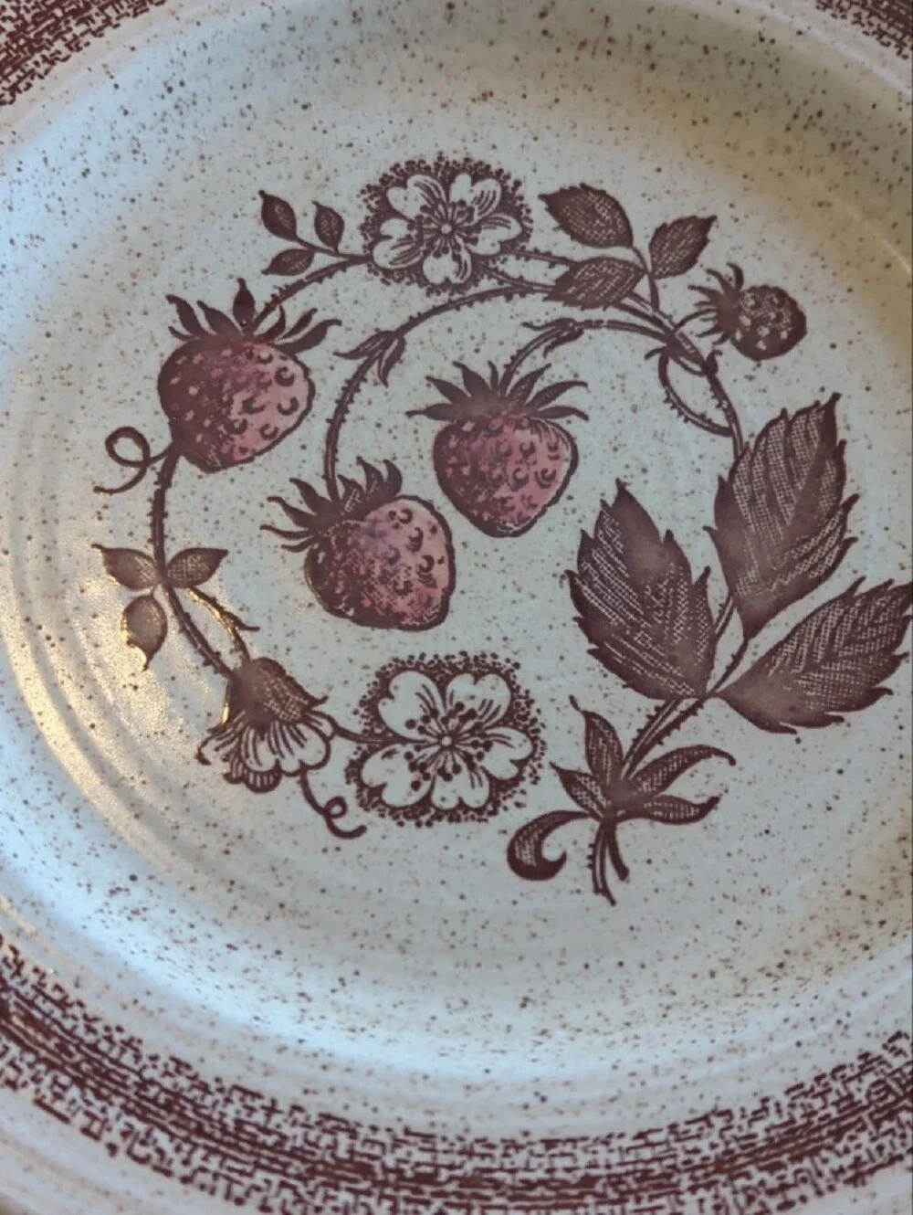 Vintage-Style Strawberry Dinner Plates Set Of 4